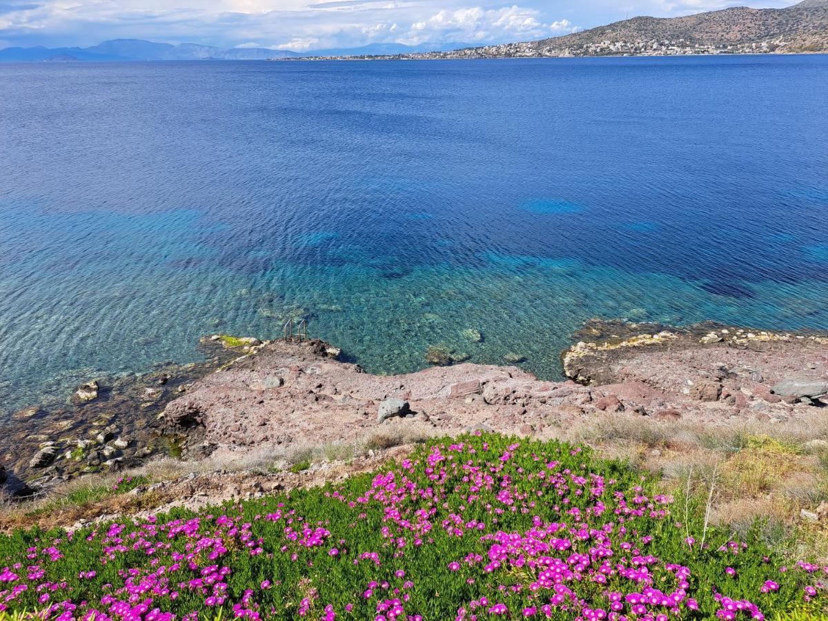 فيلا Almyra Seaside بيرديكا المظهر الخارجي الصورة