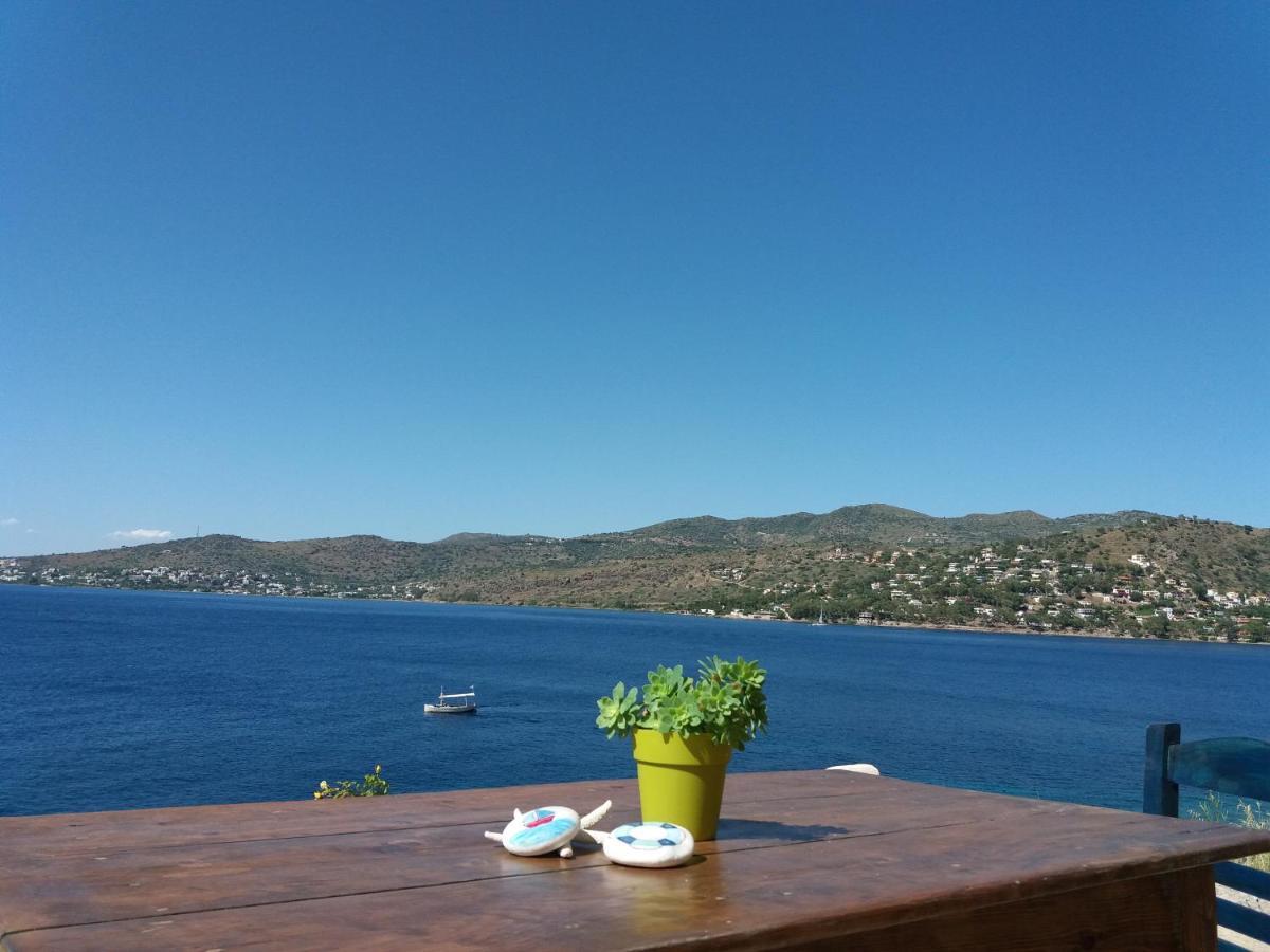 فيلا Almyra Seaside بيرديكا المظهر الخارجي الصورة